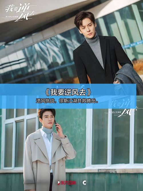新视觉影院手机版的相关介绍