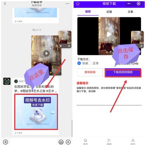 d.va区在线观看的相关介绍
